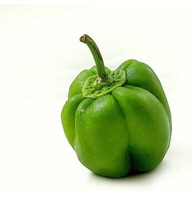 Capsicum Green (Kudai Milagaai)