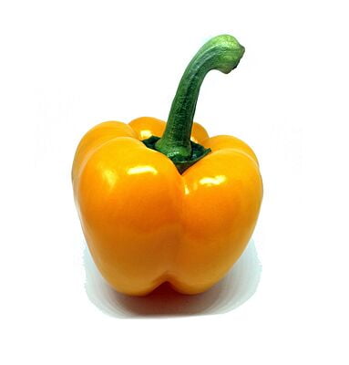 Capsicum Yellow