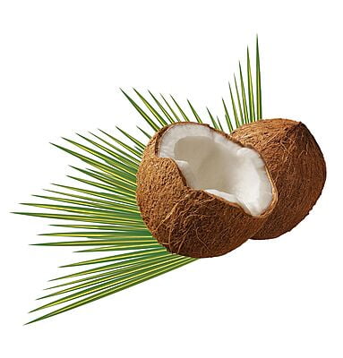Coconut (Thengaai)
