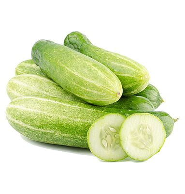 Cucumber