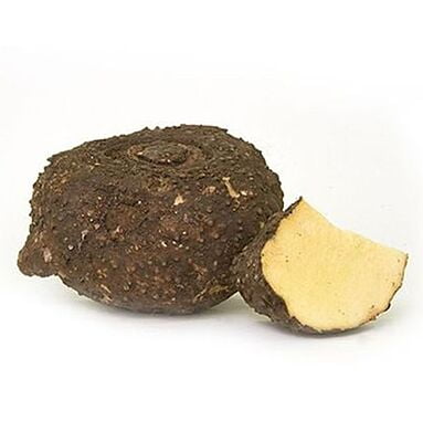 Elephant Yam (SeenaiKilangu)