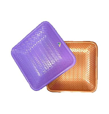 Plastic Muram