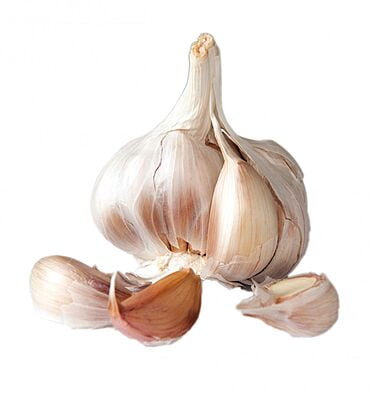 Garlic (Poondu)