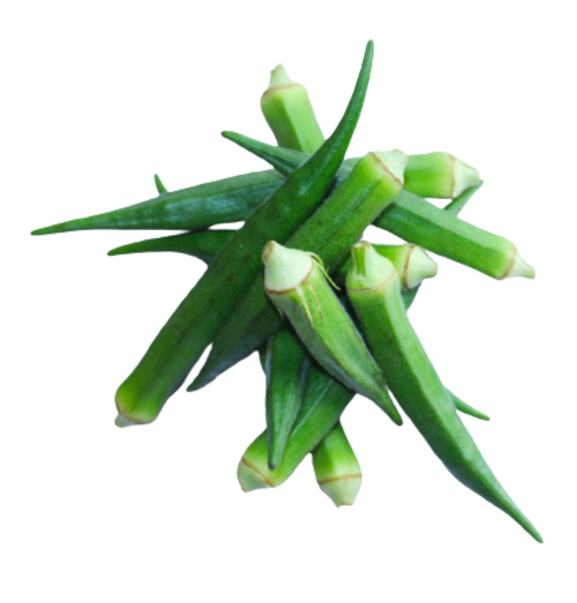 Lady Finger (Vendikaai)