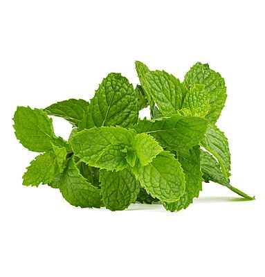 Mint leaves(Pudina)