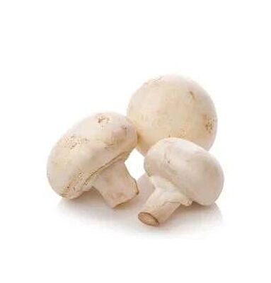 Mushroom Button (Kalaan)