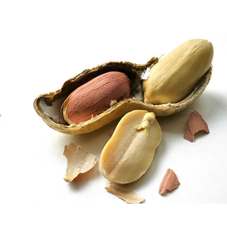 Peanut