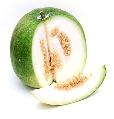 Ash Gourd