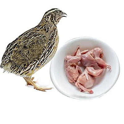 Quail / Kaada - Skinless, Pack of 2