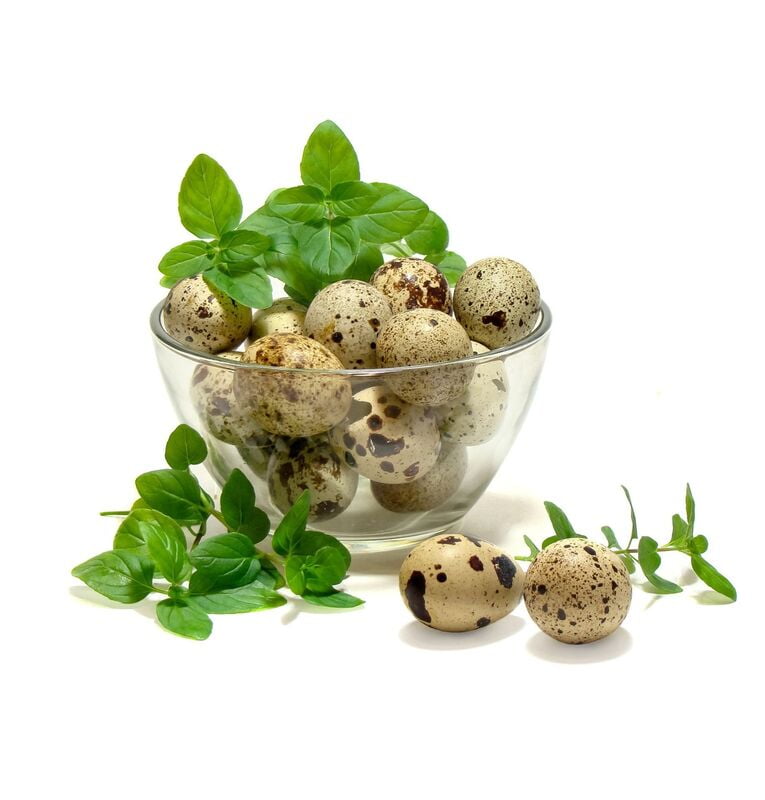 Quail Egg