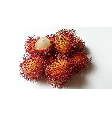 Rambutan