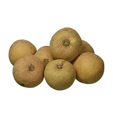 Sapota (Semi ripe)