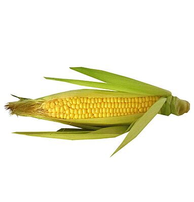 Sweet Corn (Cholam)