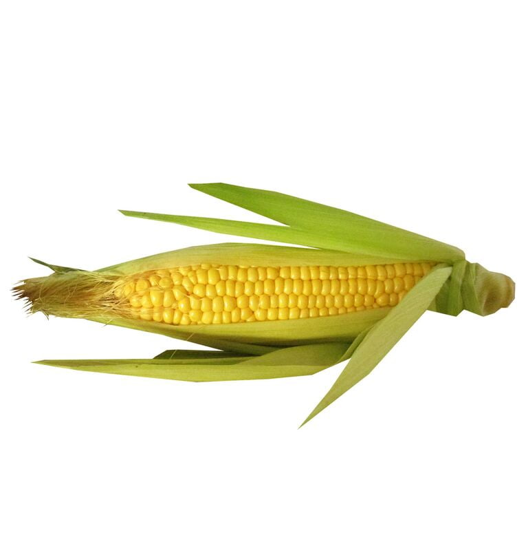 Sweet Corn (Cholam) Sweet Corn (Cholam)