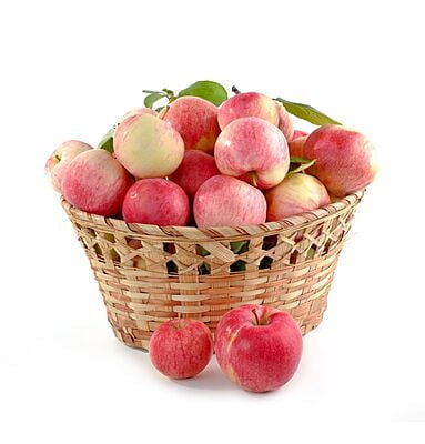 Indian Apple