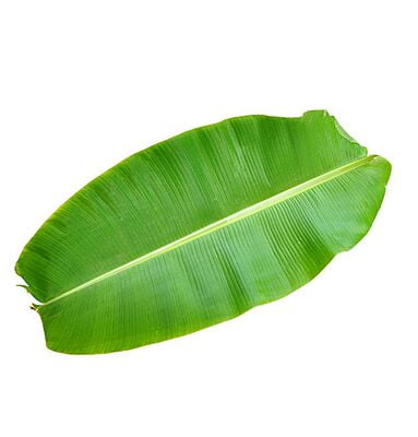 Banana Leaf (Vazhai Elai)(5 nos)