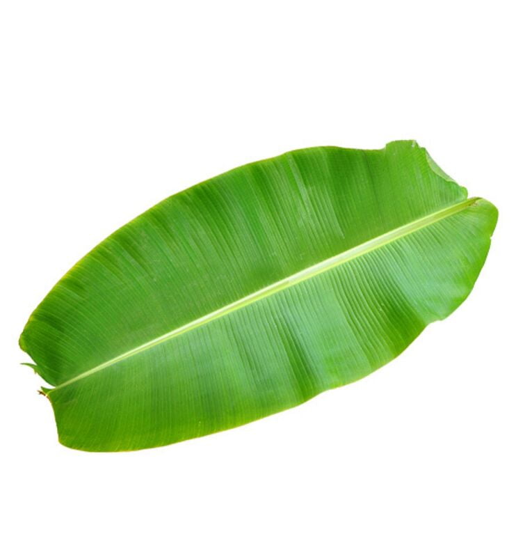 Banana Leaf (Vazhai Elai)(5 nos) Banana Leaf (Vazhai Elai)(5 nos)