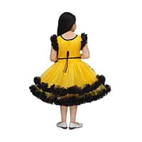 Gold Net Frock for Kids 4 Years Girls Gold Net Frock for Kids 4 Years Girls
