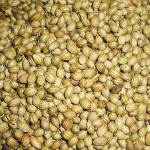 Coriander Seeds / Kotha Malli Seed
