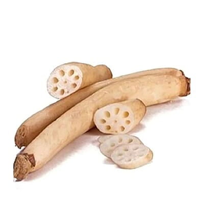 Lotus Stem