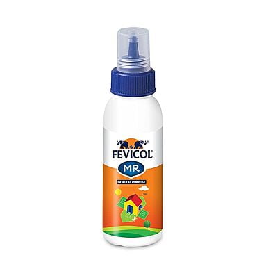 Fevicol Mr White Adhesive