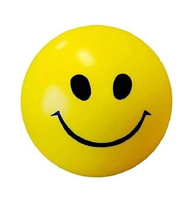 Smiley Stress Relief Sponge Ball