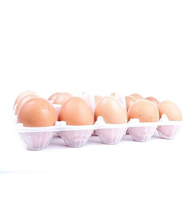 Country Chicken Egg