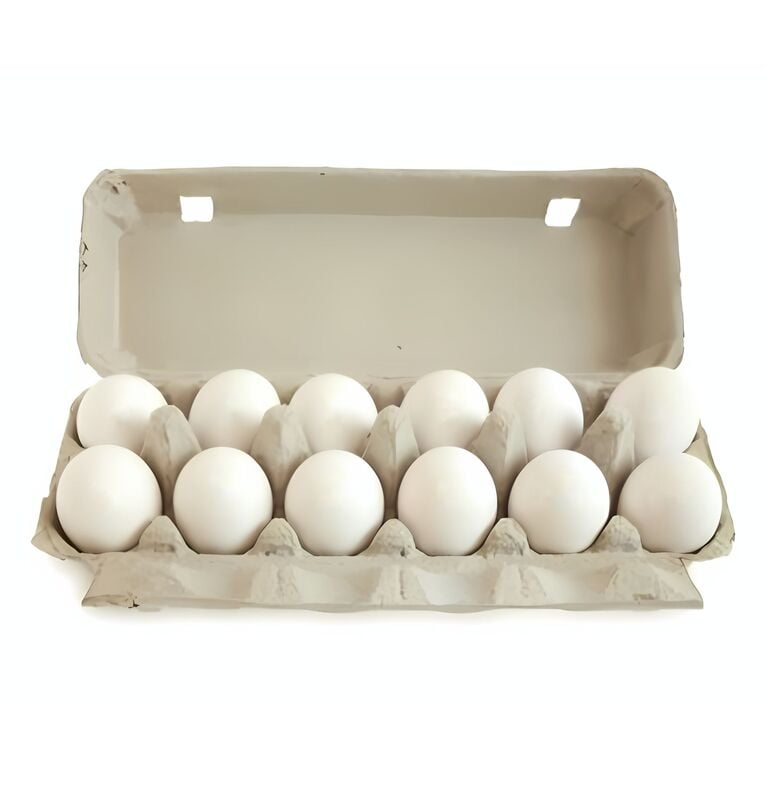 White Egg
