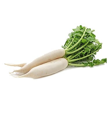 Raddish