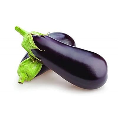 Brinjal Eggplant