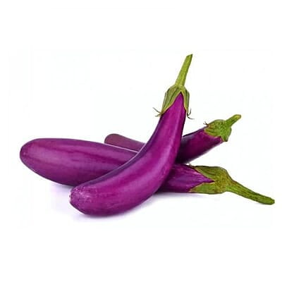 Brinjal Ujala