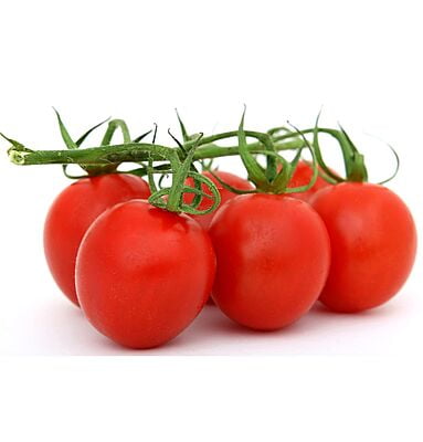 Tomato(Hybrid)
